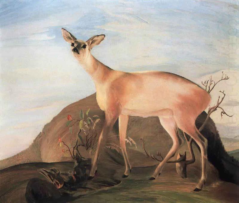 Kosztka, Tivadar Csontvry Deer china oil painting image